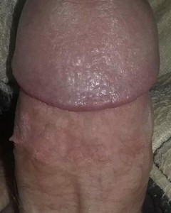 My  cock 