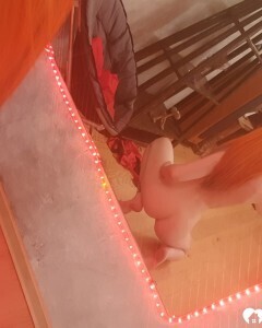 Extraordinary redhead knows how to do naughty poses